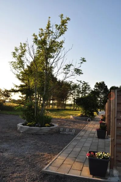 Apartamenty Molle photo 37