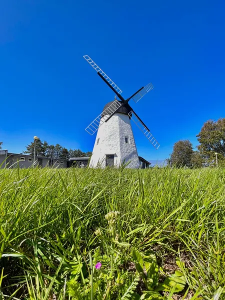 Apartamenty Molle photo 88