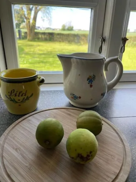 Æblehuset- landhus med fred&ro lige ved gadekæret photo 4