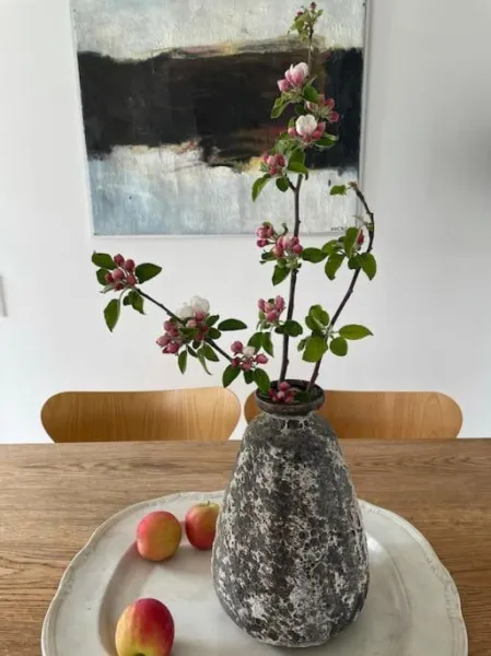 Æblehuset- landhus med fred&ro lige ved gadekæret photo 5