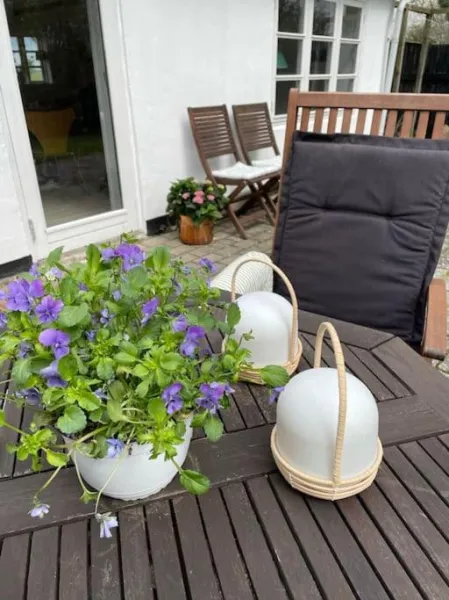 Æblehuset- landhus med fred&ro lige ved gadekæret photo 11