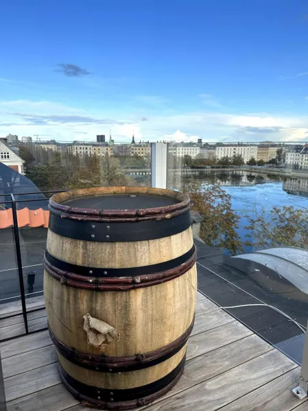 Central Penthouse with Private Rooftop Terrace photo 7