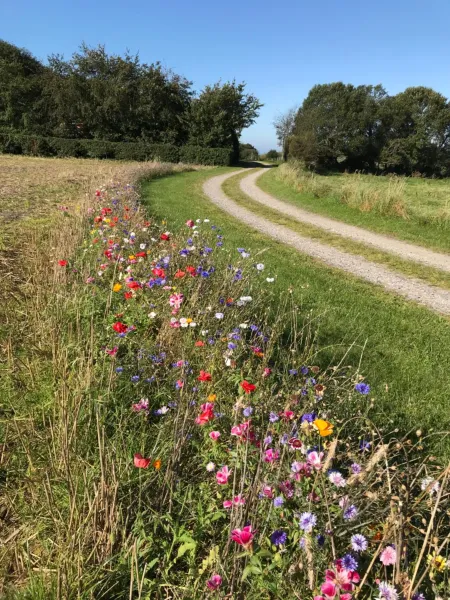 Porshus Ferielejlighed photo 35