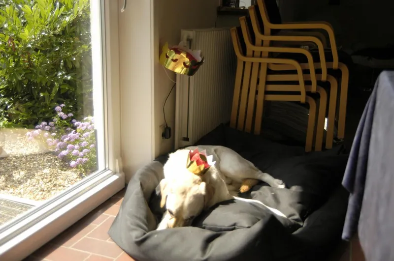 Henne Strand Ferie Accommodation photo 35