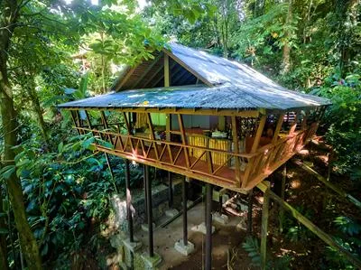 Billede 71 af Cocoa Cottages