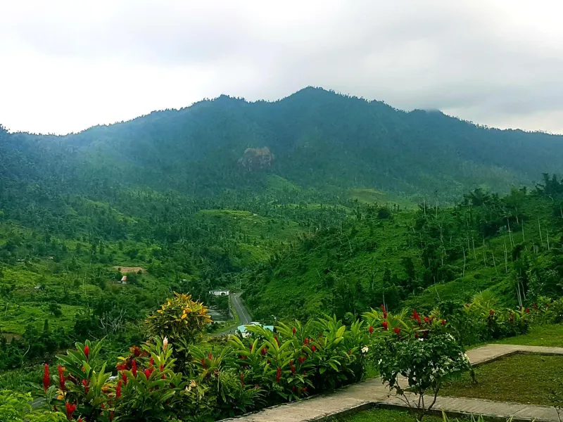 Billede 5 af Serenity Lodges Dominica