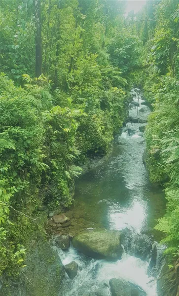 Billede 30 af Serenity Lodges Dominica