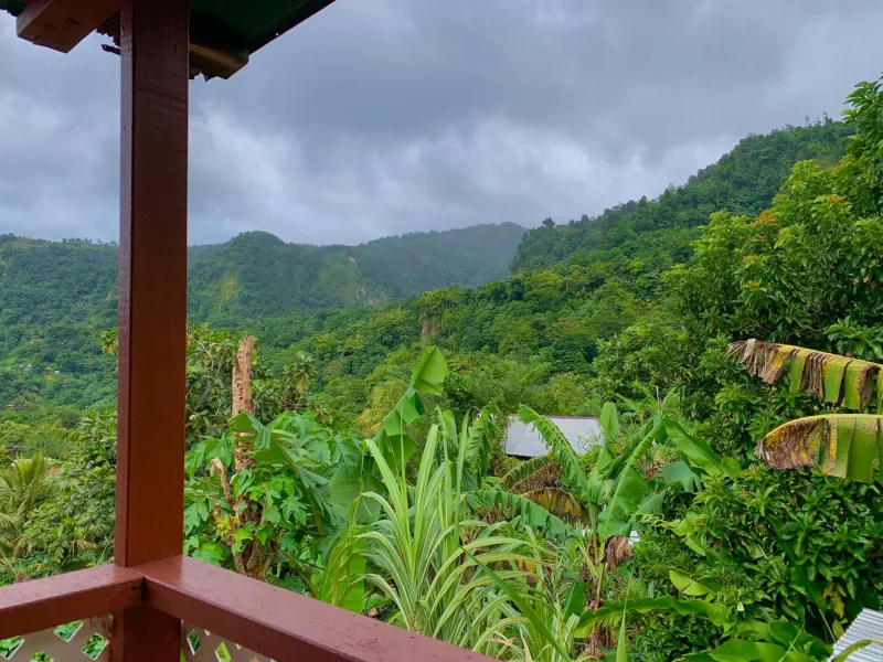 Billede 4 af Le Petit Paradis