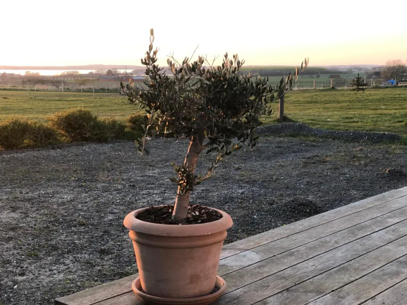 Country-living with a lovely view and own terrace, entrance and parking photo 5
