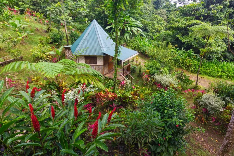 Billede 3 af Roots Jungle Retreat