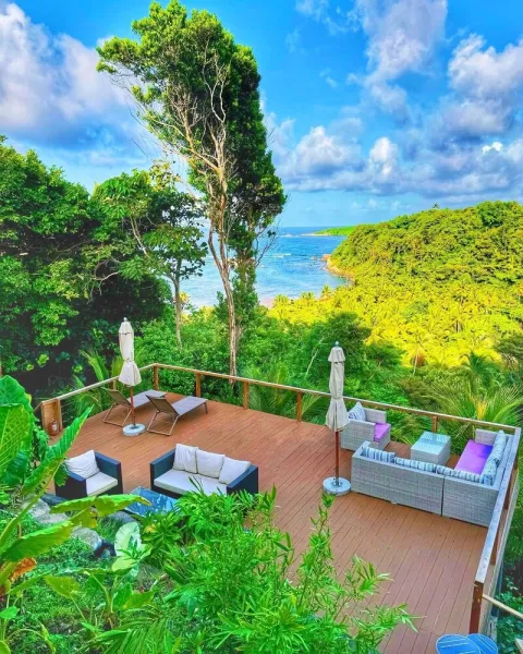 Billede 34 af Blue Whale Villa