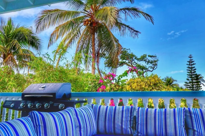 Billede 56 af Blue Whale Villa