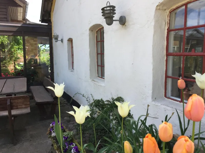 Anesminde photo 16