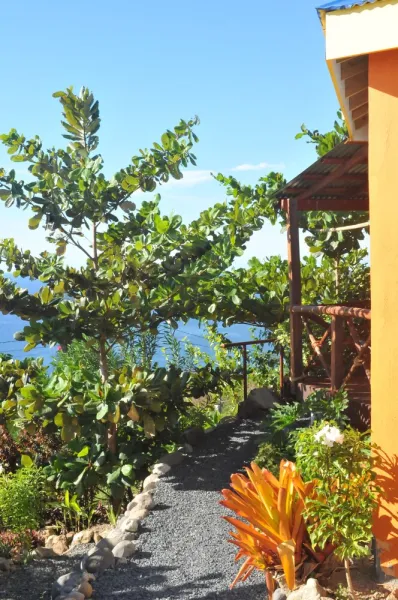 Foto 32 von Mango Island Lodges