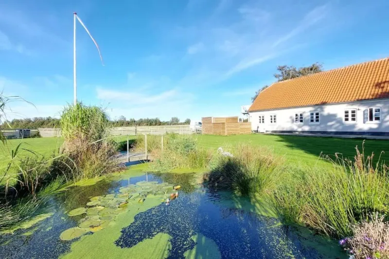 FeWo Stjerneskud photo 9