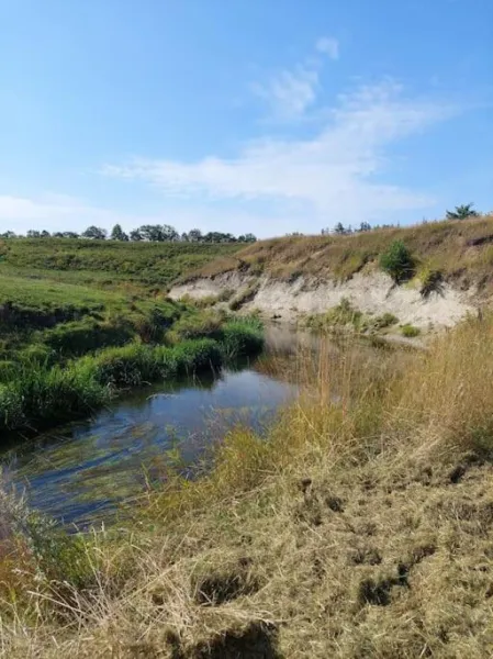 FeWo Stjerneskud photo 31