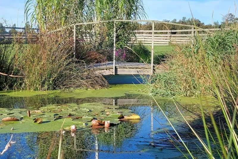FeWo Stjerneskud photo 32