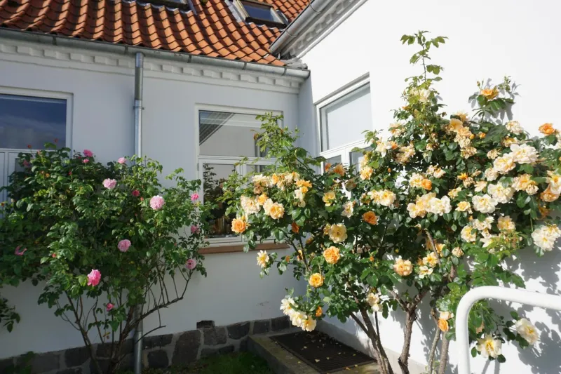 Billede 8 af Old Roses Guesthouse