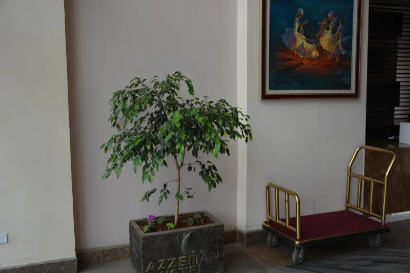 Billede 26 af Azzeman Hotel