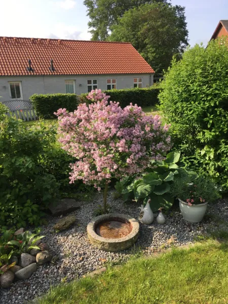Billede 6 af anneks til bondehus