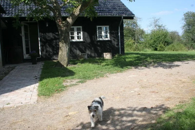 Billede 6 af Teglgaarden bed and breakfast