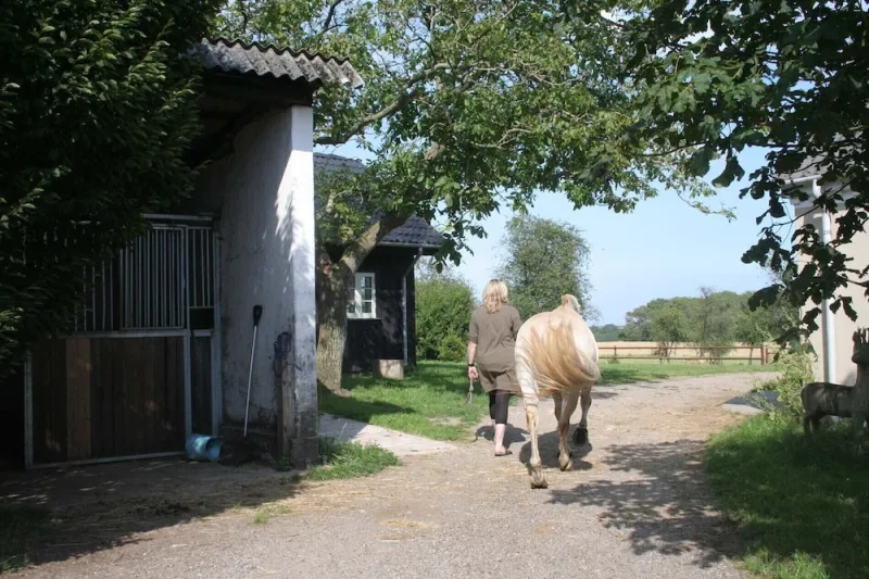 Billede 7 af Teglgaarden bed and breakfast