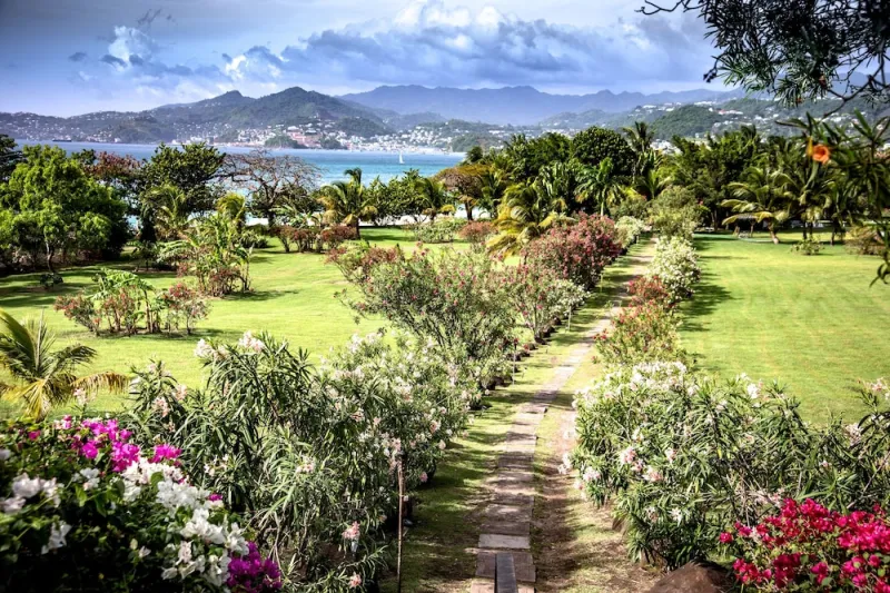 Billede 35 af Mount Cinnamon Beach & Wellness Resort