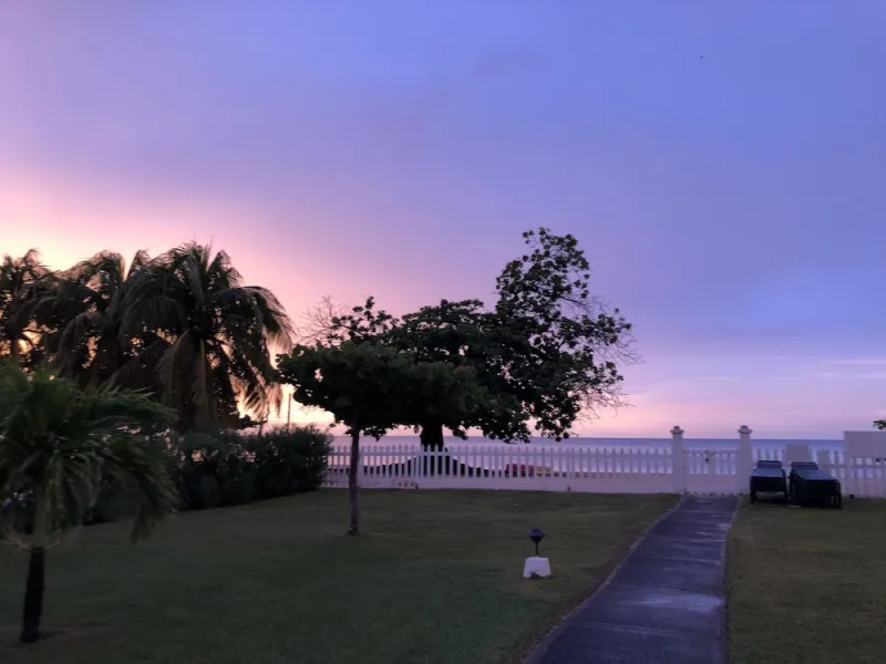 Billede 13 af Allamanda Beach Hotel