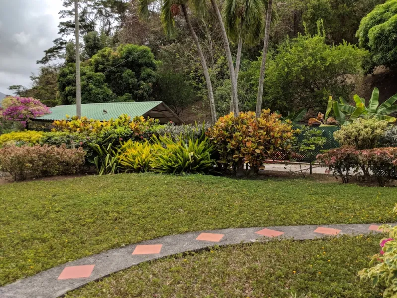 Billede 74 af La Sagesse Hotel