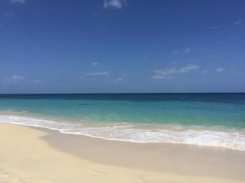Billede 8 af Allamanda Beach Hotel