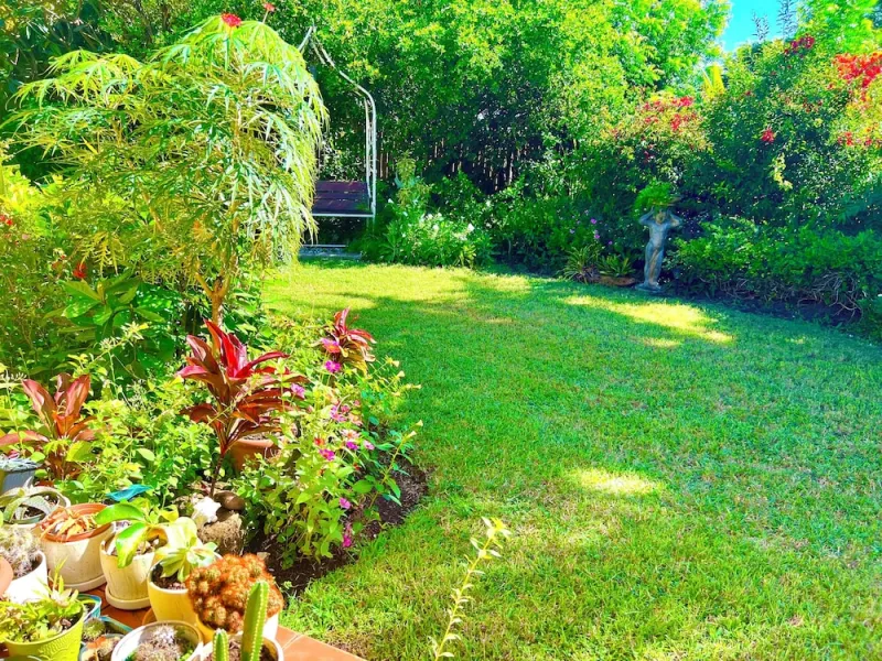 Limetree villa billede 2