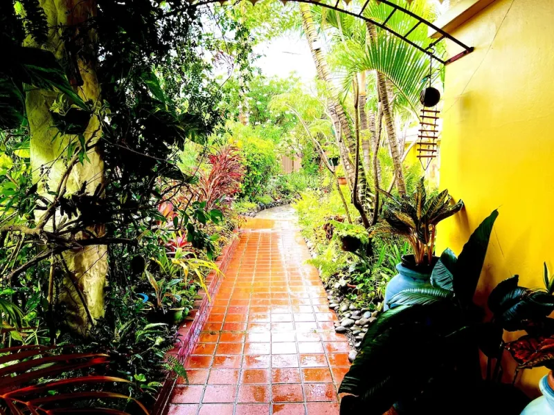 Limetree villa billede 3