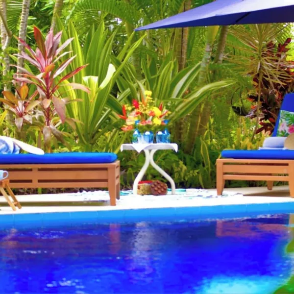 Billede 30 af Limetree villa
