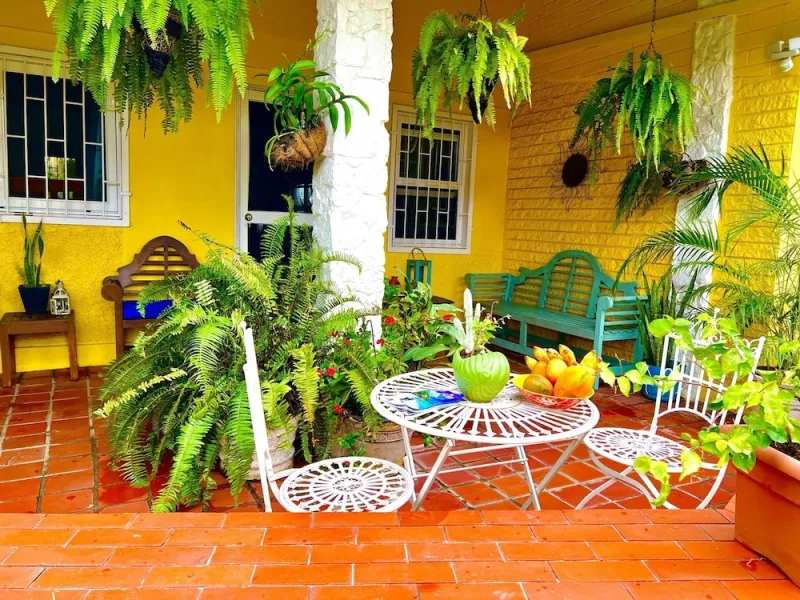 Billede 31 af Limetree villa