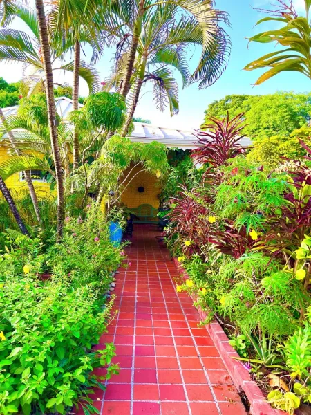 Billede 32 af Limetree villa