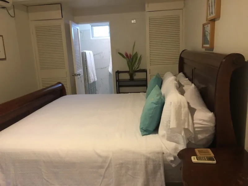 Billede 33 af Limetree villa