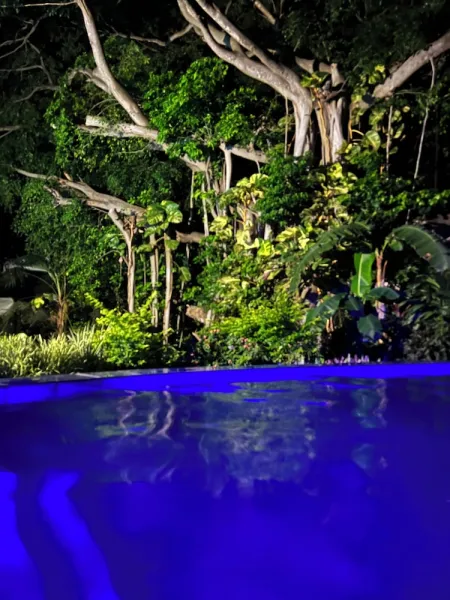 Billede 44 af Limetree villa