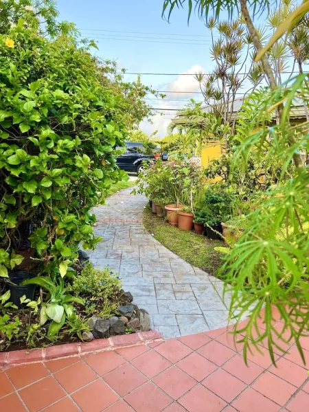 Billede 50 af Limetree villa