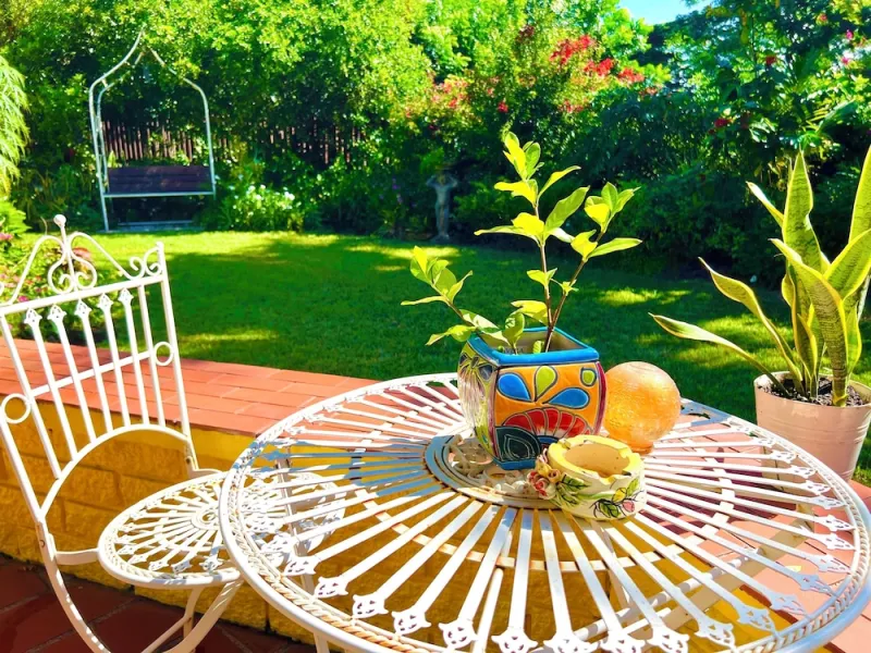 Billede 51 af Limetree villa