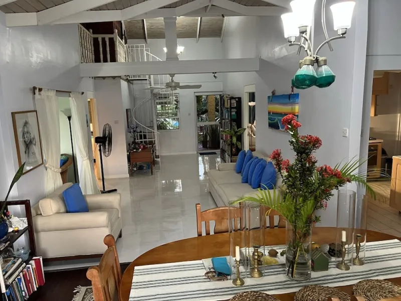 Billede 52 af Limetree villa