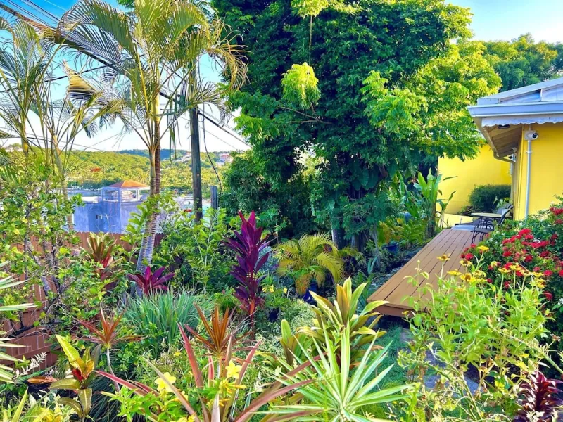 Billede 61 af Limetree villa