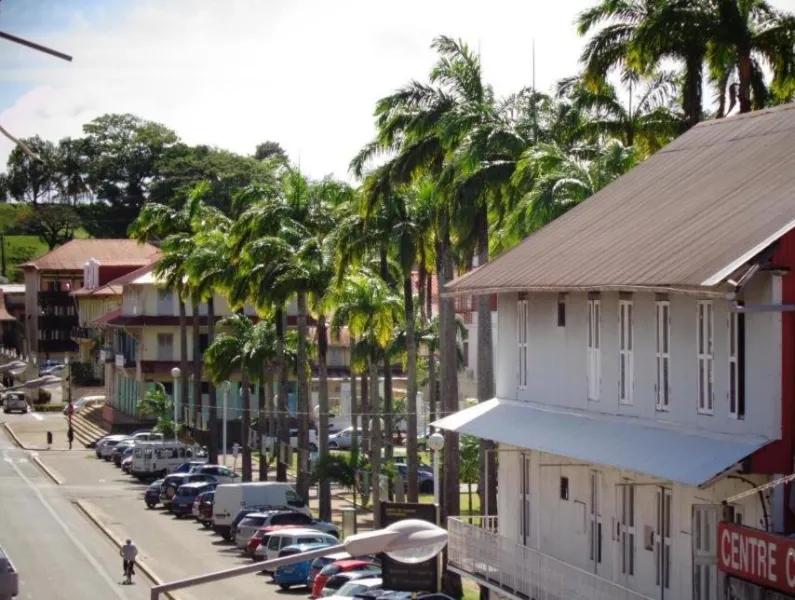 Billede 17 af Ibis Styles Cayenne Centre Amazonia