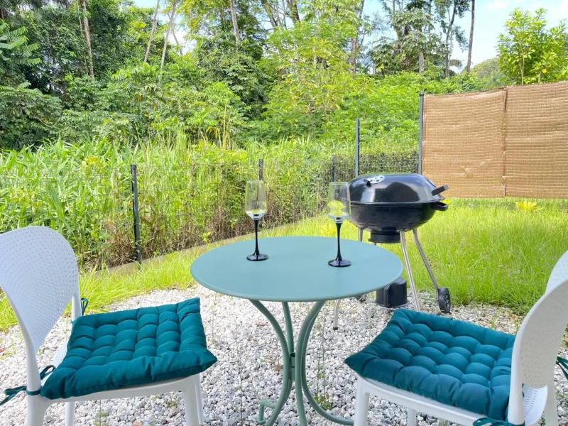 Billede 11 af Le Petit Colibri - Jardin 80m2 et espace de travail