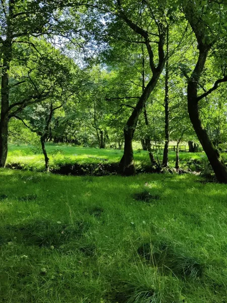 Billede 8 af Rosengård