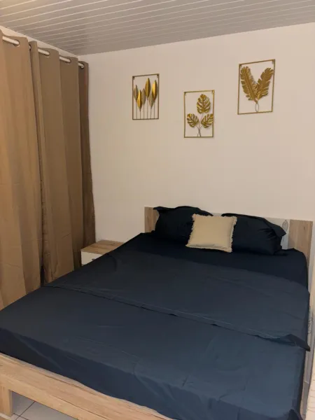 Billede 8 af La Canopé - T2 calme et central avec son jacuzzi