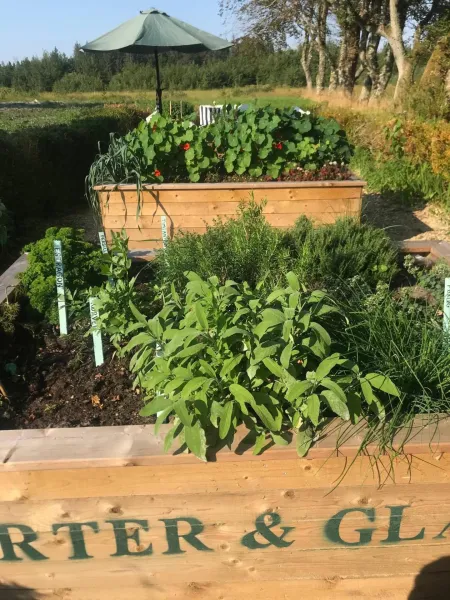 Billede 27 af Glædegården -Glaede Landhof- 12 beds!