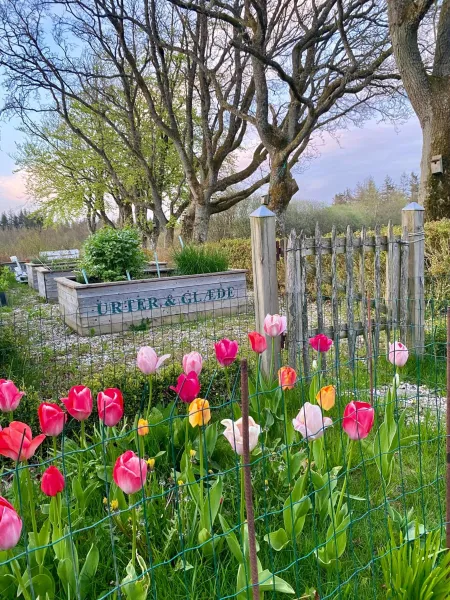 Billede 30 af Glædegården -Glaede Landhof- 12 beds!