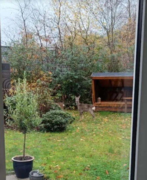 Billede 24 af Silkeborg Legoland luxury cabin