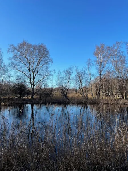 Billede 7 af Stoksholmene13
