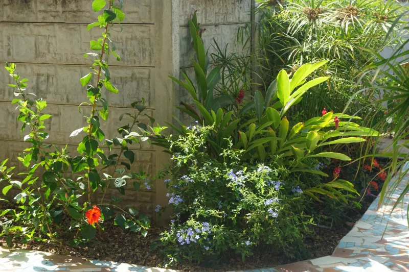 Billede 7 af B & B Villa Calliandra